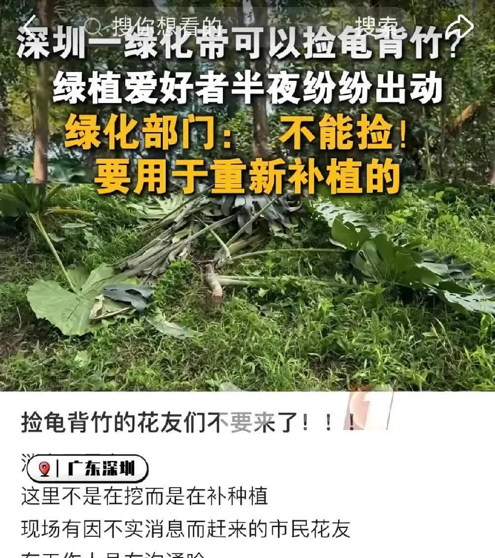 深圳一男子下班时路过环卫工人处，随手拿走一棵龟背竹，称省下1000元，还在朋友圈