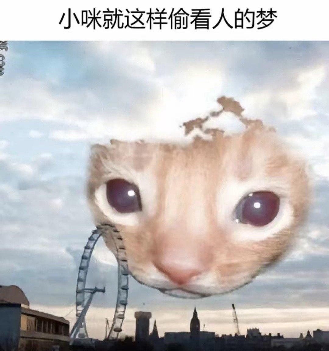 害怕​​​