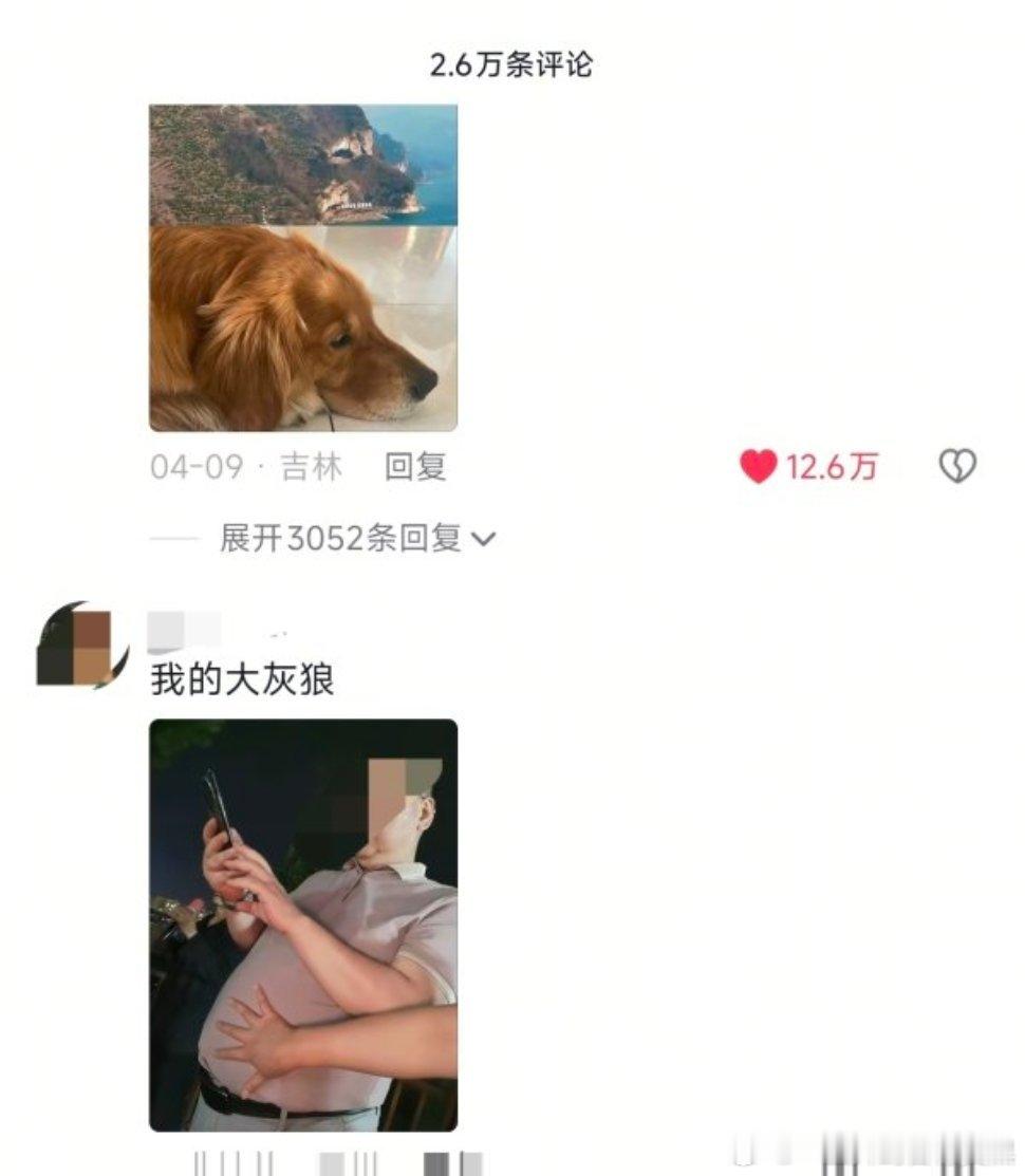 评论区都是小狗或者这个景点的照片，突然出现一个大肚腩......国产浪漫