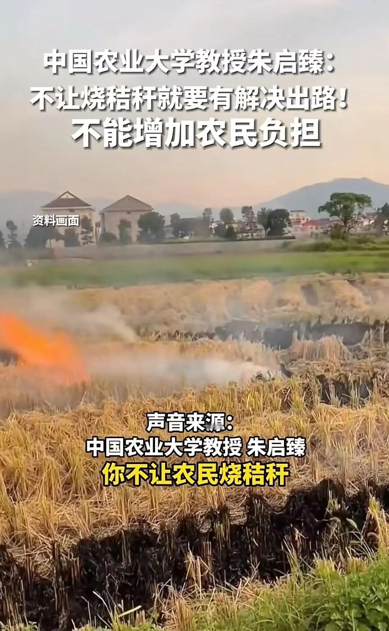 农民的秸秆到底该怎么处理？是该一禁了之，还是得找出路？最近，中国农业大学朱启臻教
