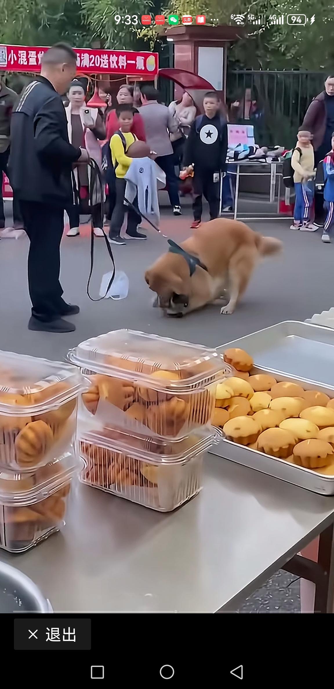 这视频看得我怒发冲冠。大狗死死咬住小狗的脖子不放，大狗主人居然护短，阻止小狗主人