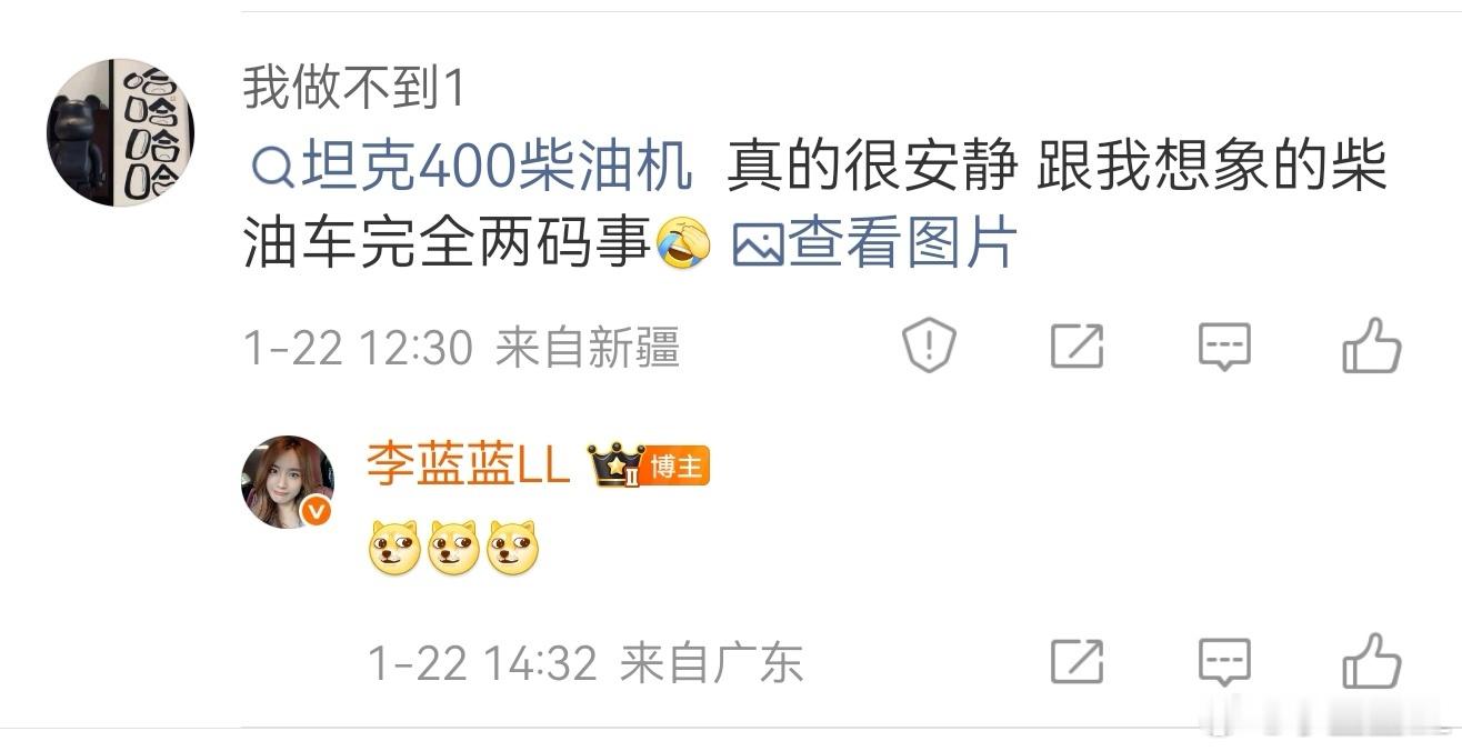 不知道这位坦克400柴油版的车主在买之前有没有试驾。我其实真的特别佩服每一个柴油