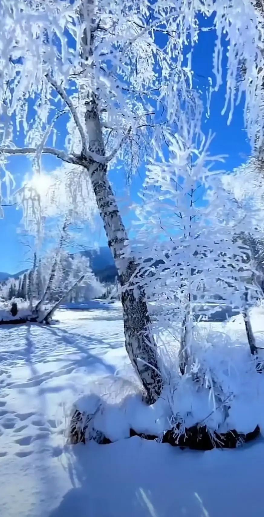 生活会欺负穷人，爱情也会。所以说，钱才是一个人最大的底气！唯有经济实力，