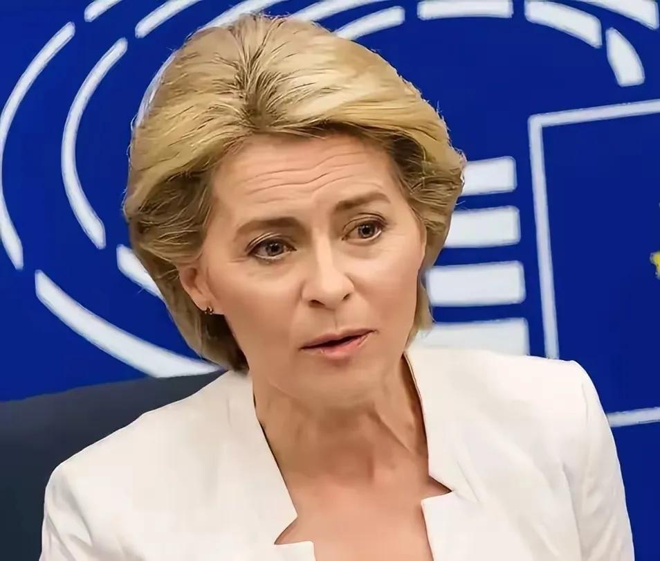 欧盟双标现场：芬兰教授灵魂拷问冯德莱恩，全场哑口无言一场欧盟会议上，芬兰教授