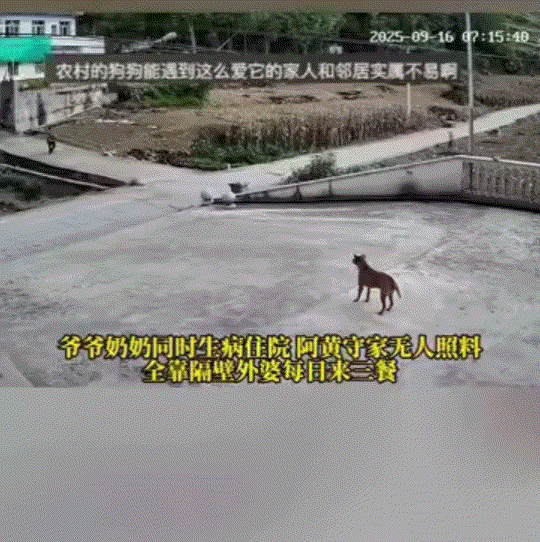 还是好心人多呢！重庆，一男子的爷爷奶奶同时生病去医院住院，为了照顾老人，只得留得