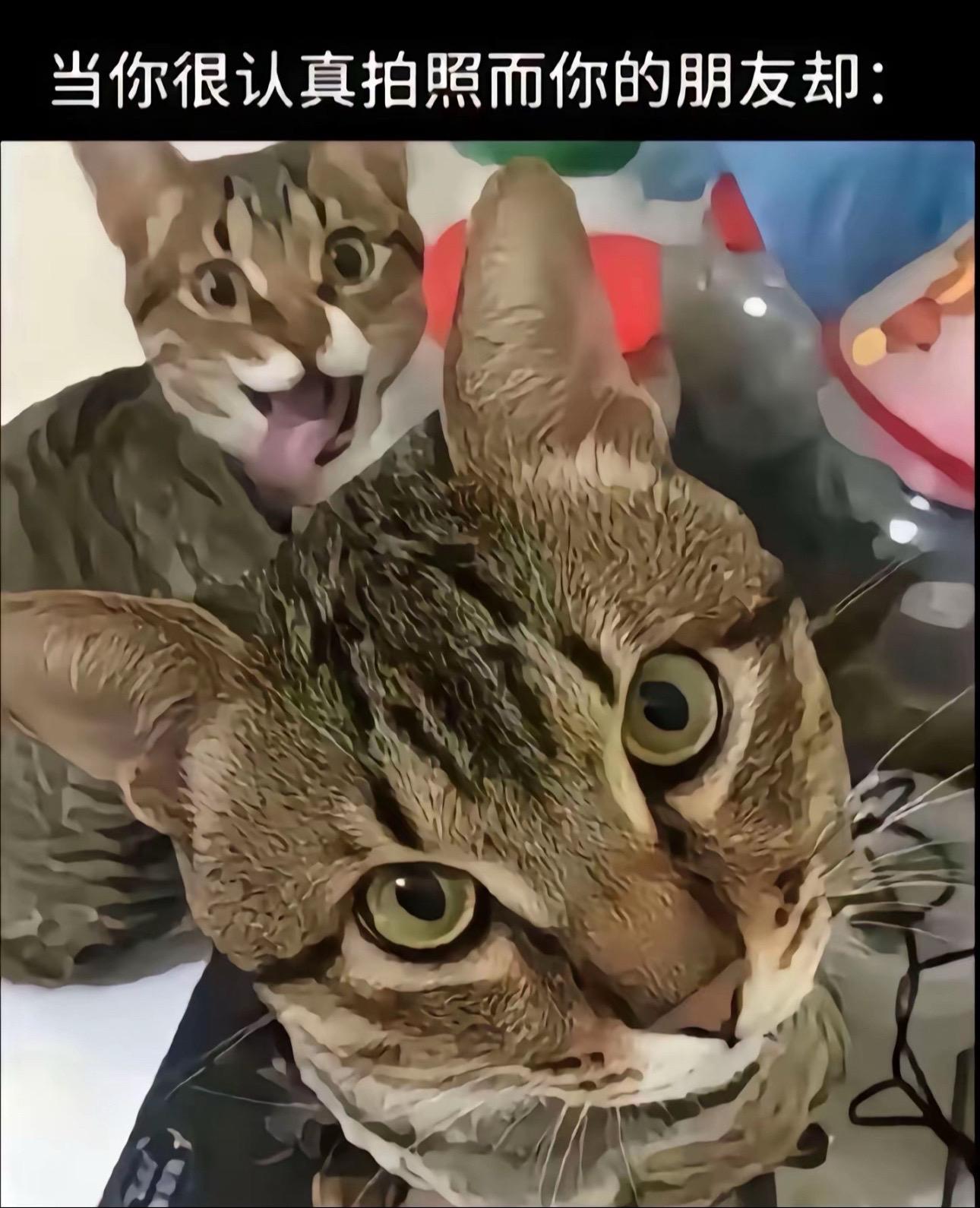 当朋友在认真拍照而我(˵¯͒〰¯͒˵)