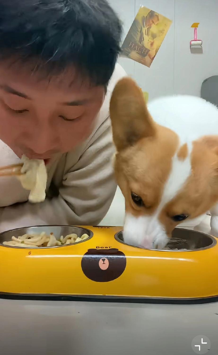 恶心至极！主人抢狗食吃，筷子直接从狗嘴里掏！狗狗正低头吃饭，主人直接拿筷子从狗