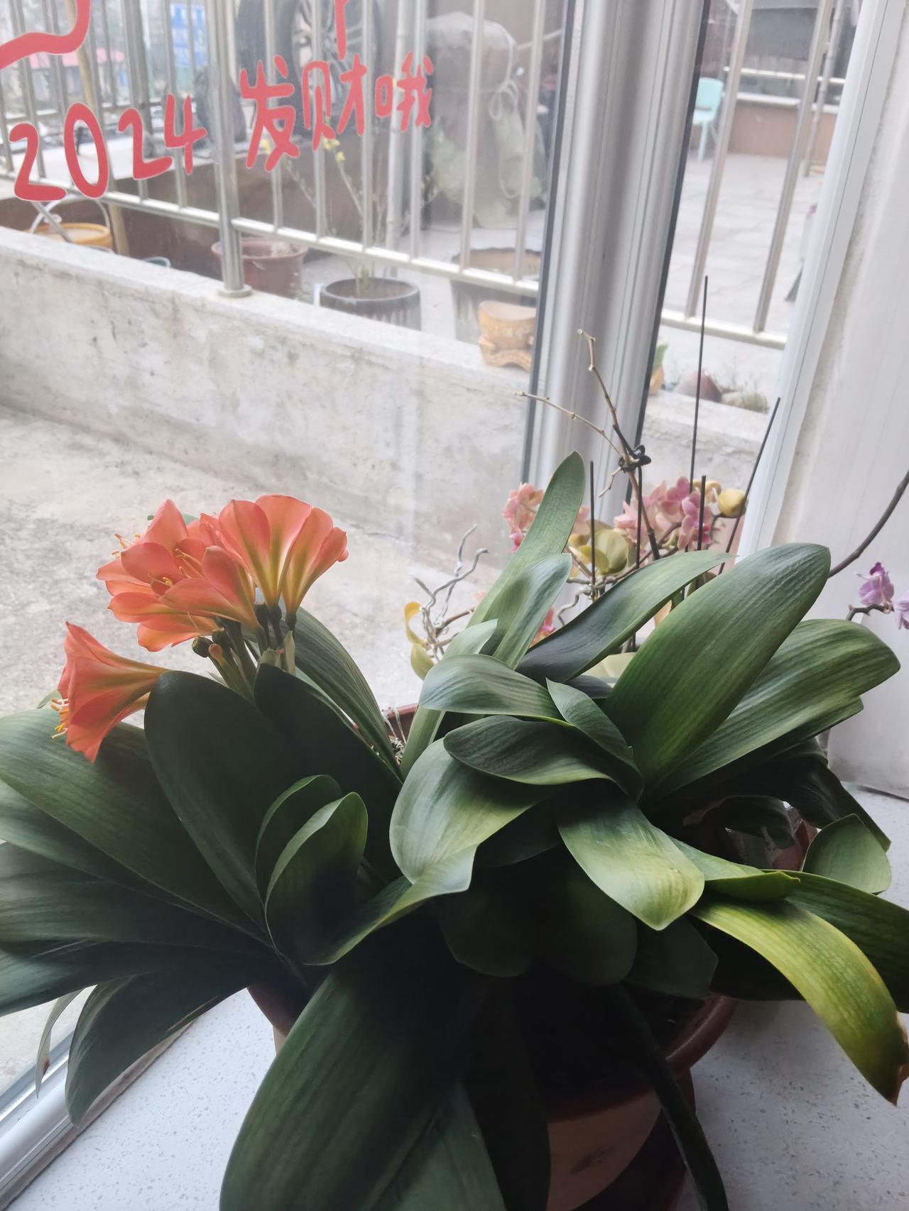 宇宙大将军的覆灭南朝梁武帝不听劝阻，收留了东魏叛将侯景，后来又想用侯景跟东魏