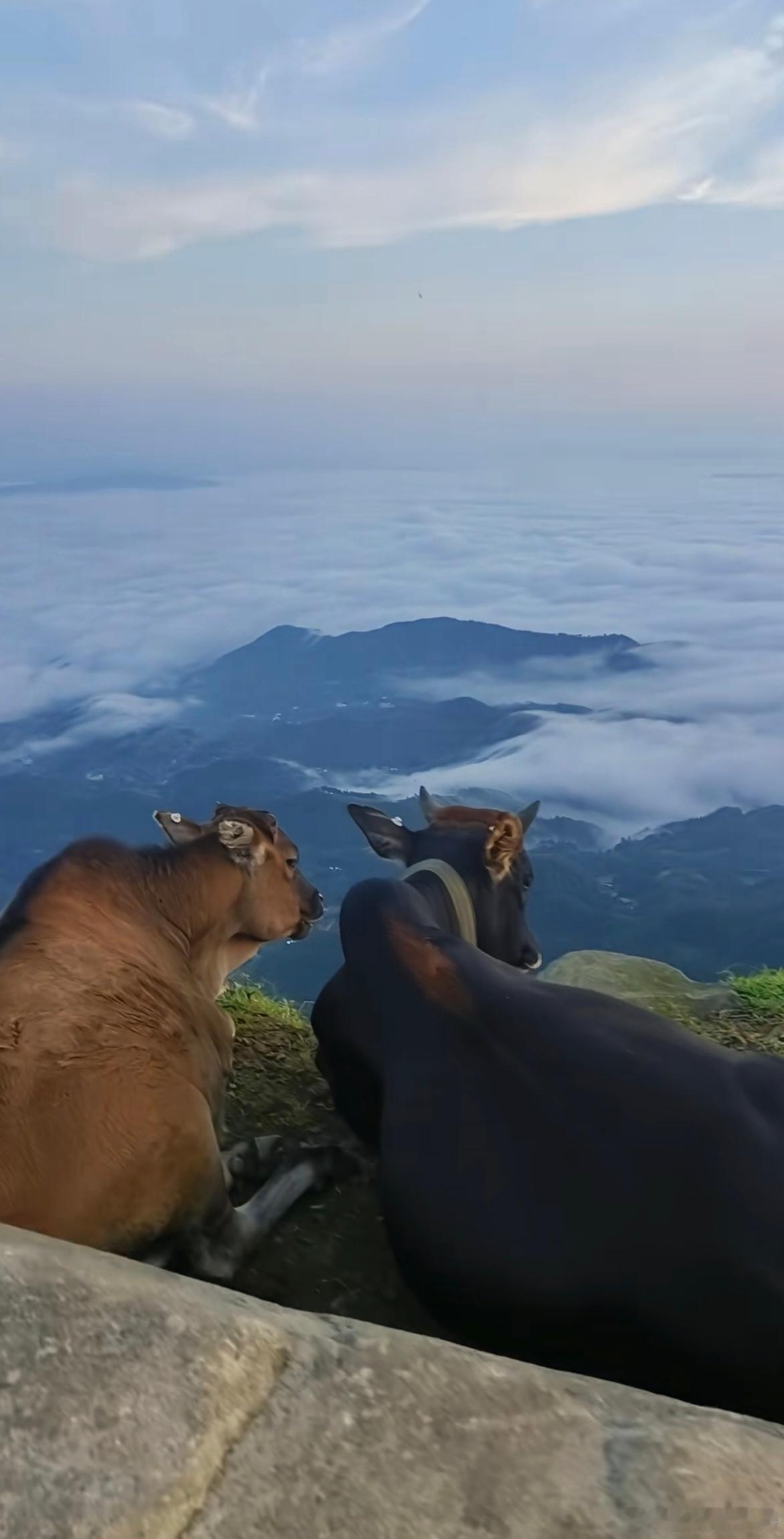 提高人生胜率的方法就是，有时候机会降临到你头上，并不是因为你外貌出众能力强，而是