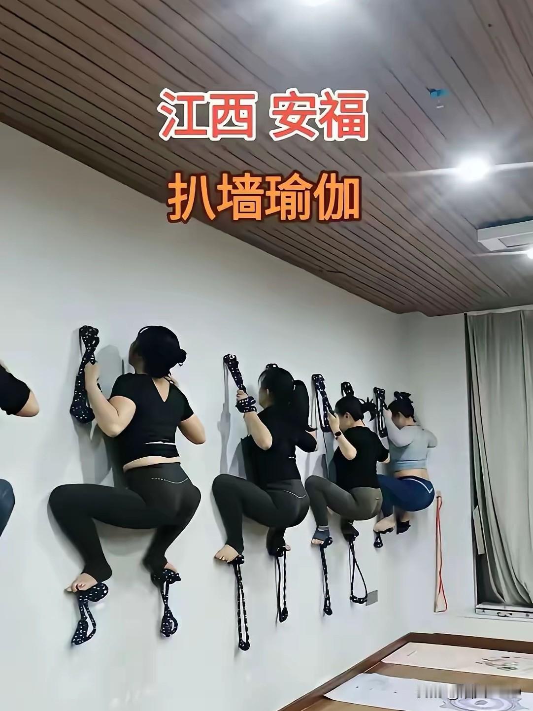 笑出腹肌了，江西老表这瑜伽，确定不是“壁虎成精”了？吓得我差点喊大师兄。一排