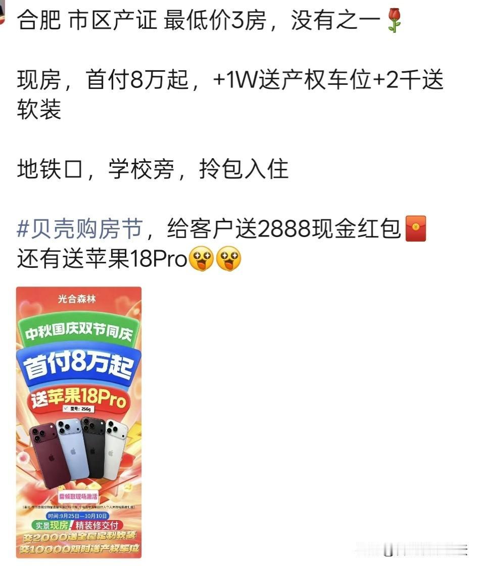 合肥市区这个房子看来是利润很高，首付只要八九万，精装修，又是送产权车位，送软装，