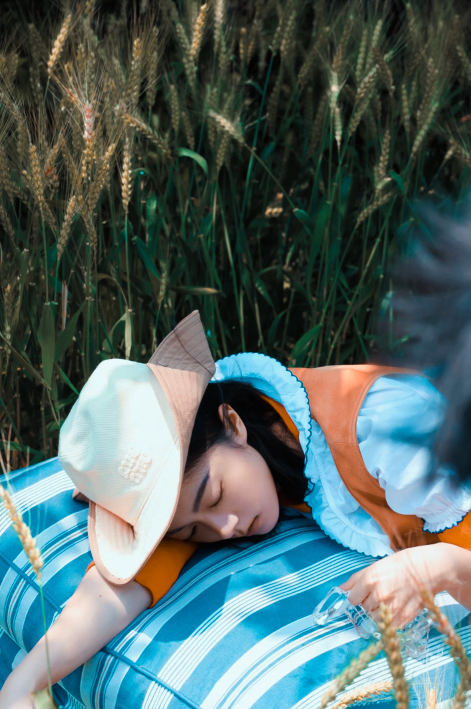 🍊～🌾赵今麦