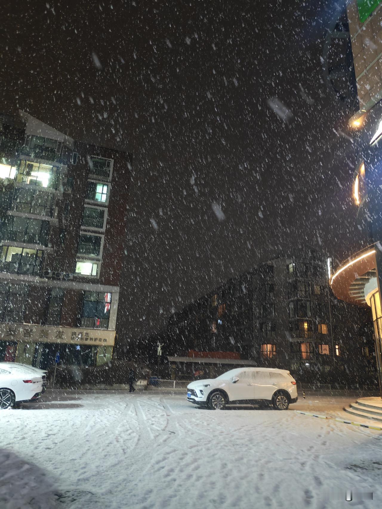 北京这场雪太大了，到处都是车鸣声，下雪真的不适合出行，看到几个外卖员骑着电动车送