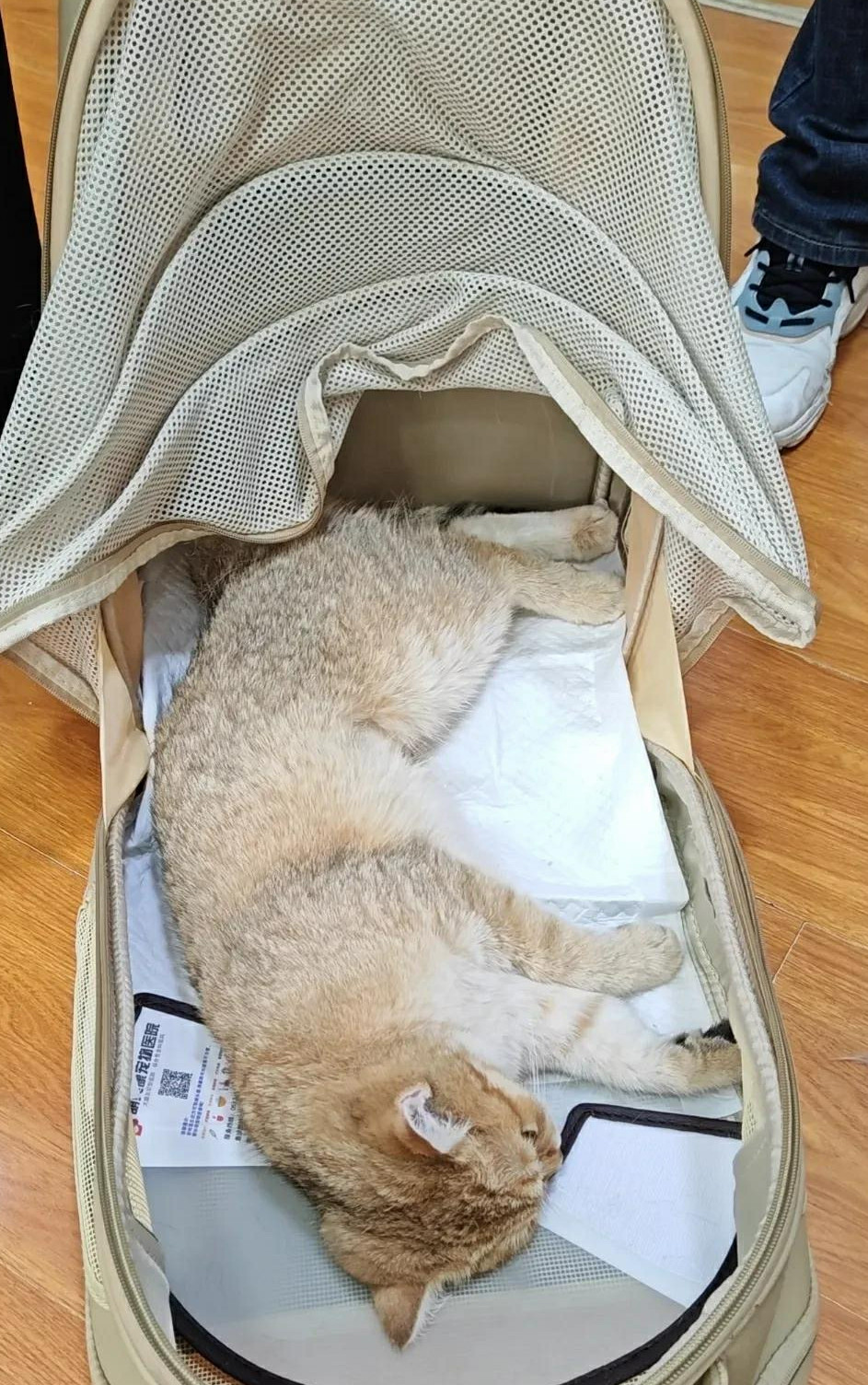 说那话，那不都拜你所赐