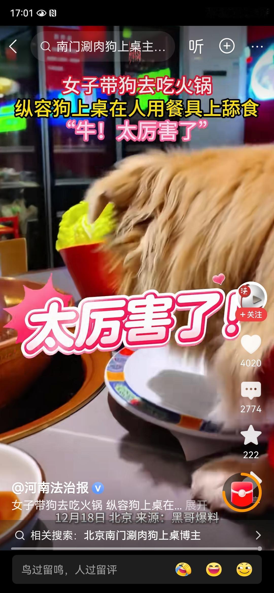 女子炫耀狗吃火锅，直喊自己的狗太厉害，吃完还知道把盘子舔干净，还问网友应该怎么夸