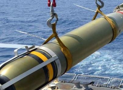 1978年，渔民在南海拉网时，竟然捞上来一枚珍贵的美国MK-46鱼雷，这可是当时