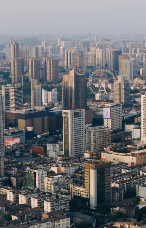 现在去医院急诊科就能直观感受到，外伤患者里八成都和电动车相关，创伤骨科的接诊