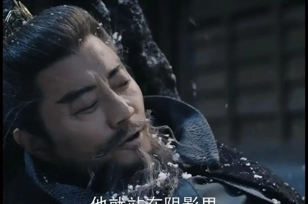 别信！言凤山没死。谢淮安亲手散的消息。长安城都在哭祭这位枭雄，只有谷仓里的