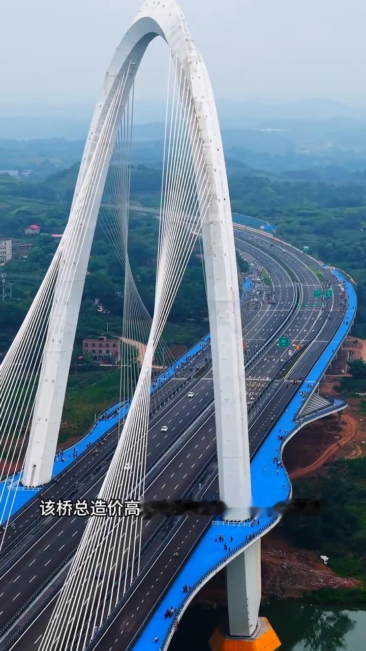 金简仁沱江特大桥正式通车啦。6月30日上午十时许，历时五年多建设的金简仁沱江特