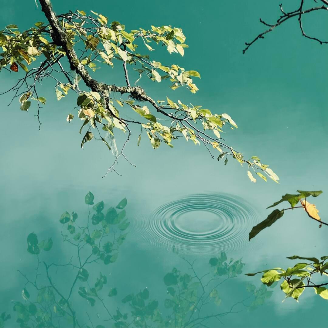 九寨沟