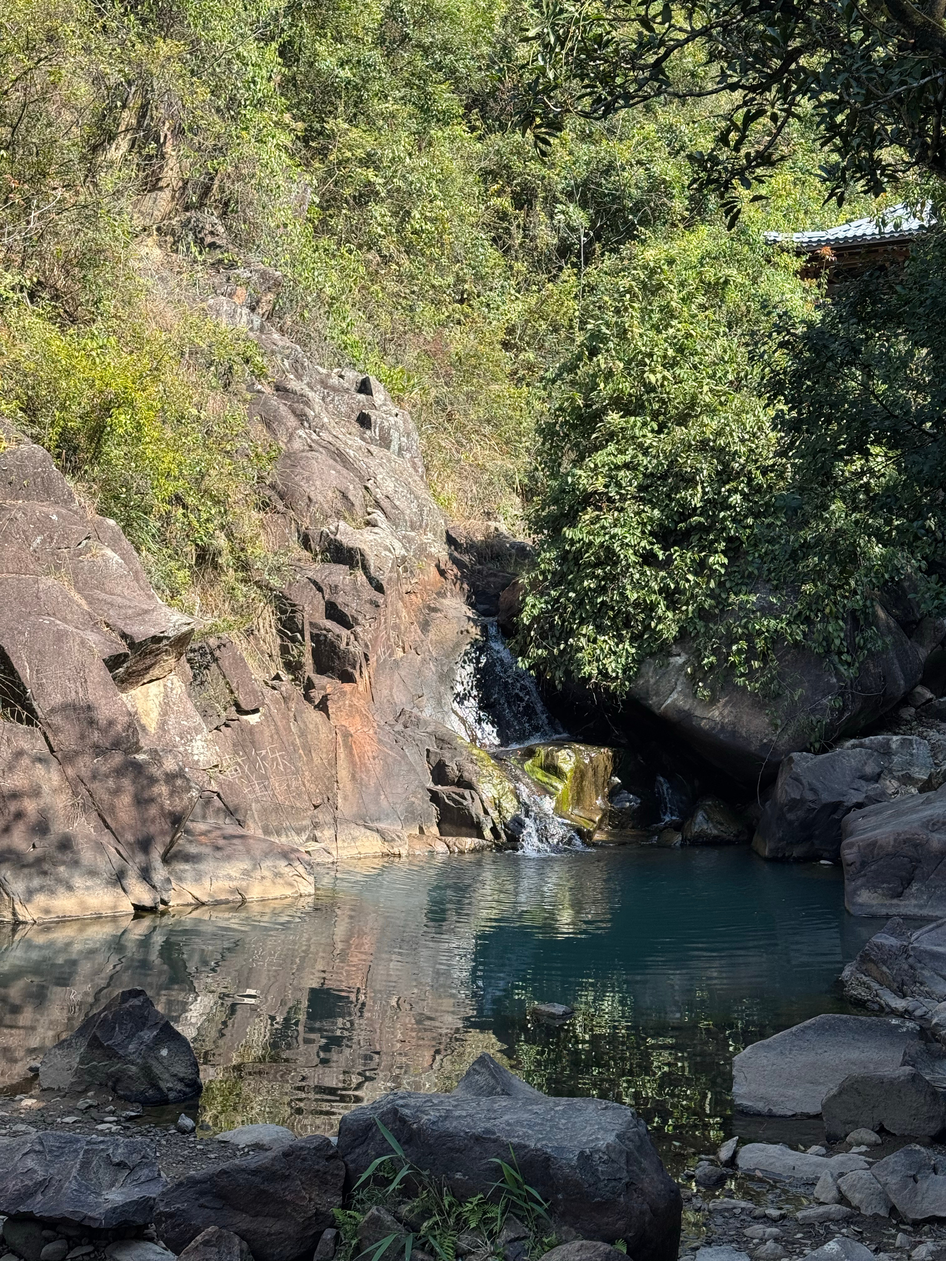 带着三个保镖开始爬了厦门·天竺山森林公园