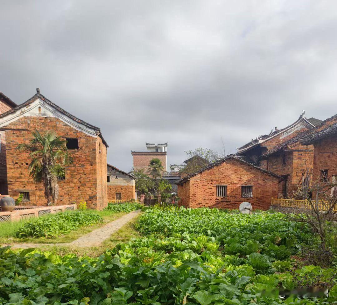 这种没有边界感的男人，老婆要和他离婚，纯属他活该！一男子，36岁了，和老婆有两个