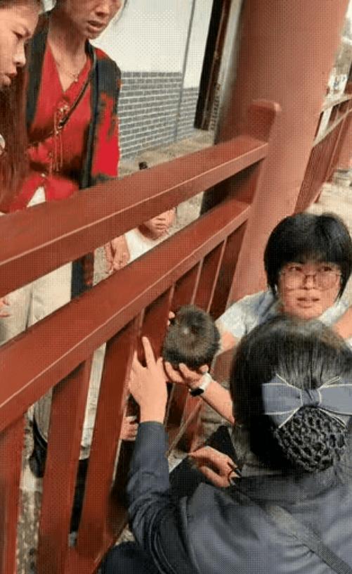 “这就是男女在智力上的区别！”男孩的头卡在栏杆里，四个女的在那研究了半天，还是没