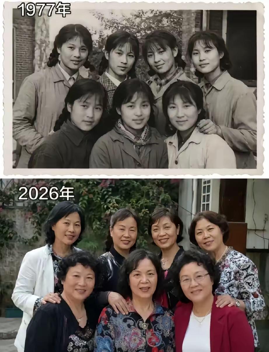 七个大美女，过了50年留下了什么？