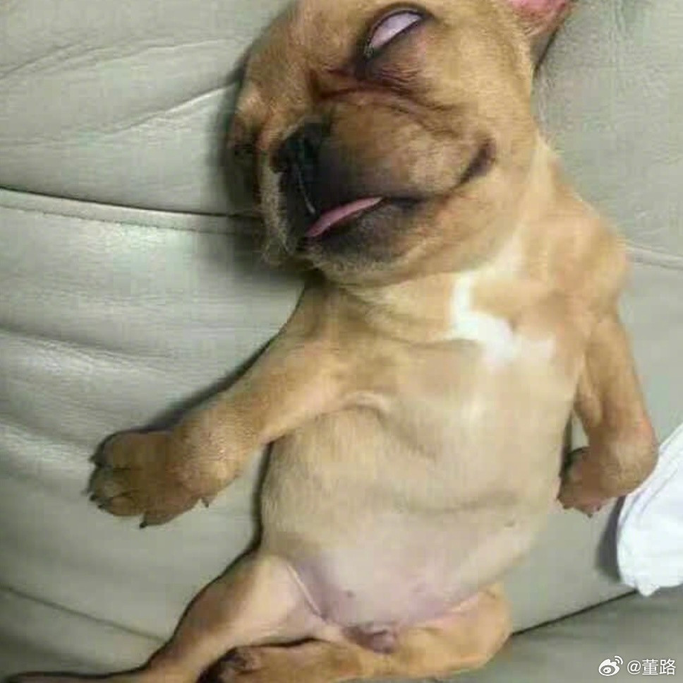 球盲只会看比分。国足vs喀麦隆上半场541，0:2，下半场442，没丢球。球盲得