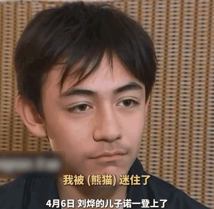 看来刘烨的中国基因还是没干过他媳妇的法国血统啊，他儿子和我见过的混血都有些不一样
