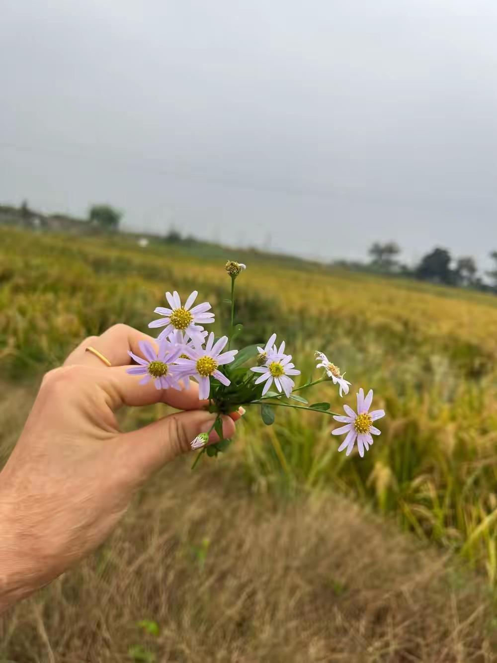 51岁退休金2400，丈夫逼我再上班！年轻时累死累活，如今不该享福吗？你们说呢