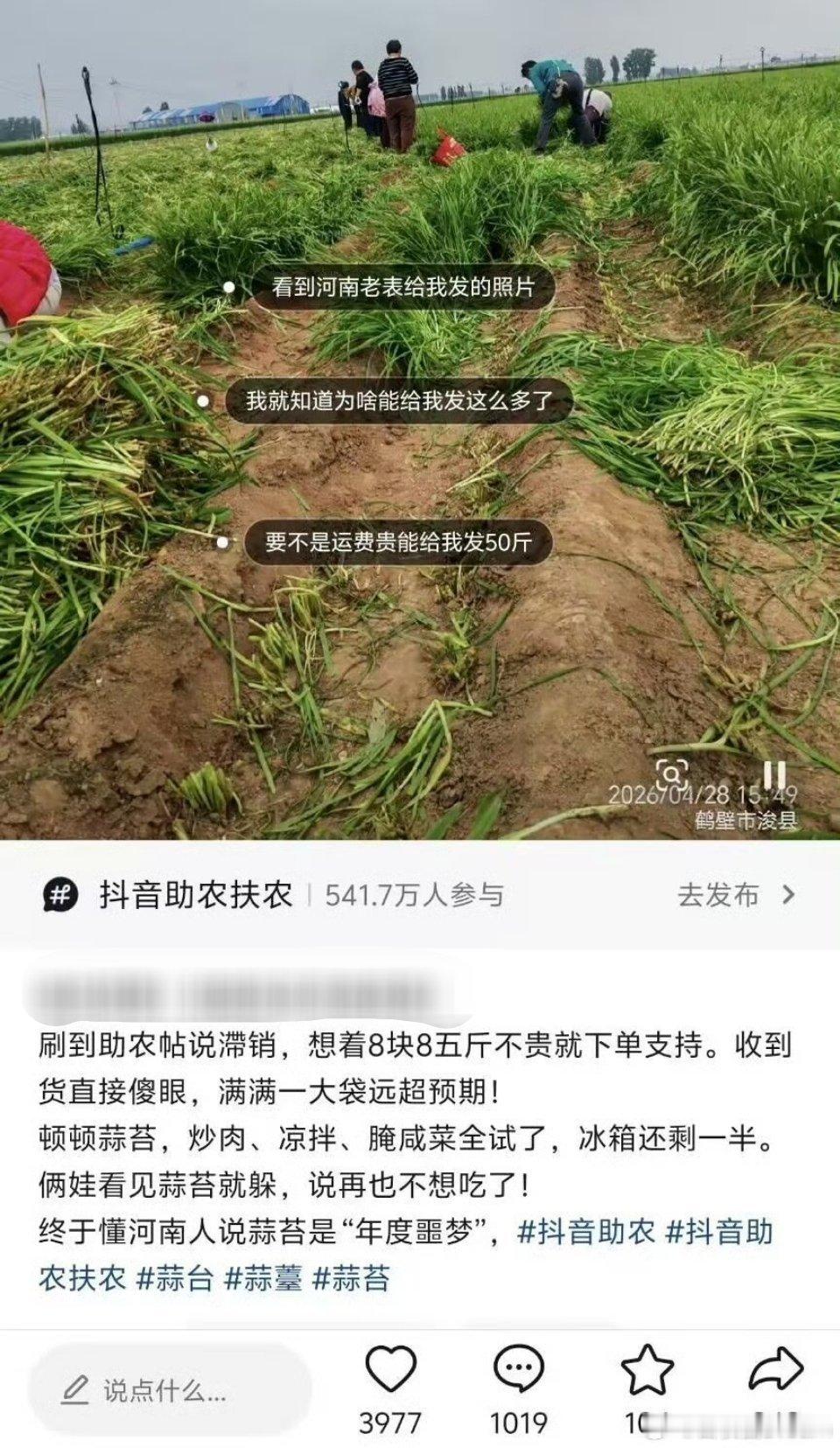终于懂河南人说蒜苔是年度噩梦了