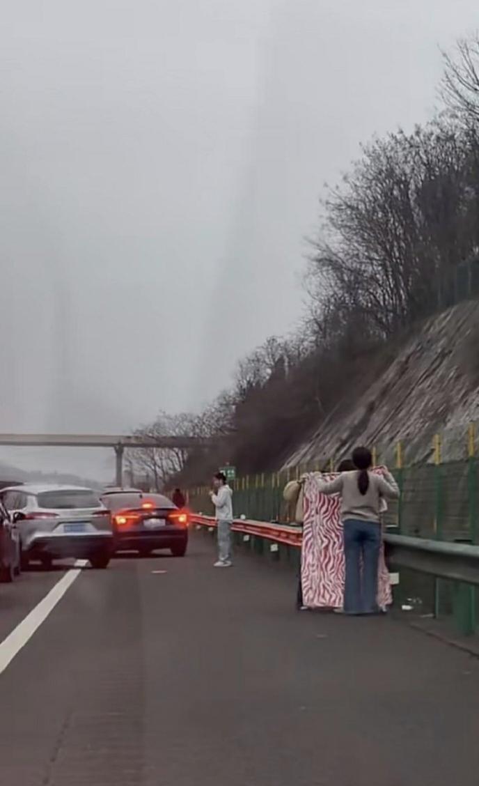 刷到这幕我直接看懵！高速堵车还能这么操作？😳今天大雾堵了快一小时，本来都在
