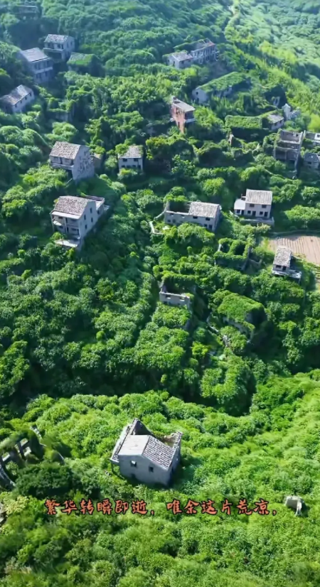 真的很痛心，听闻宁波23岁女孩遇难心情特别沉重。为了看蓝色眼泪，居然一个人穿越无