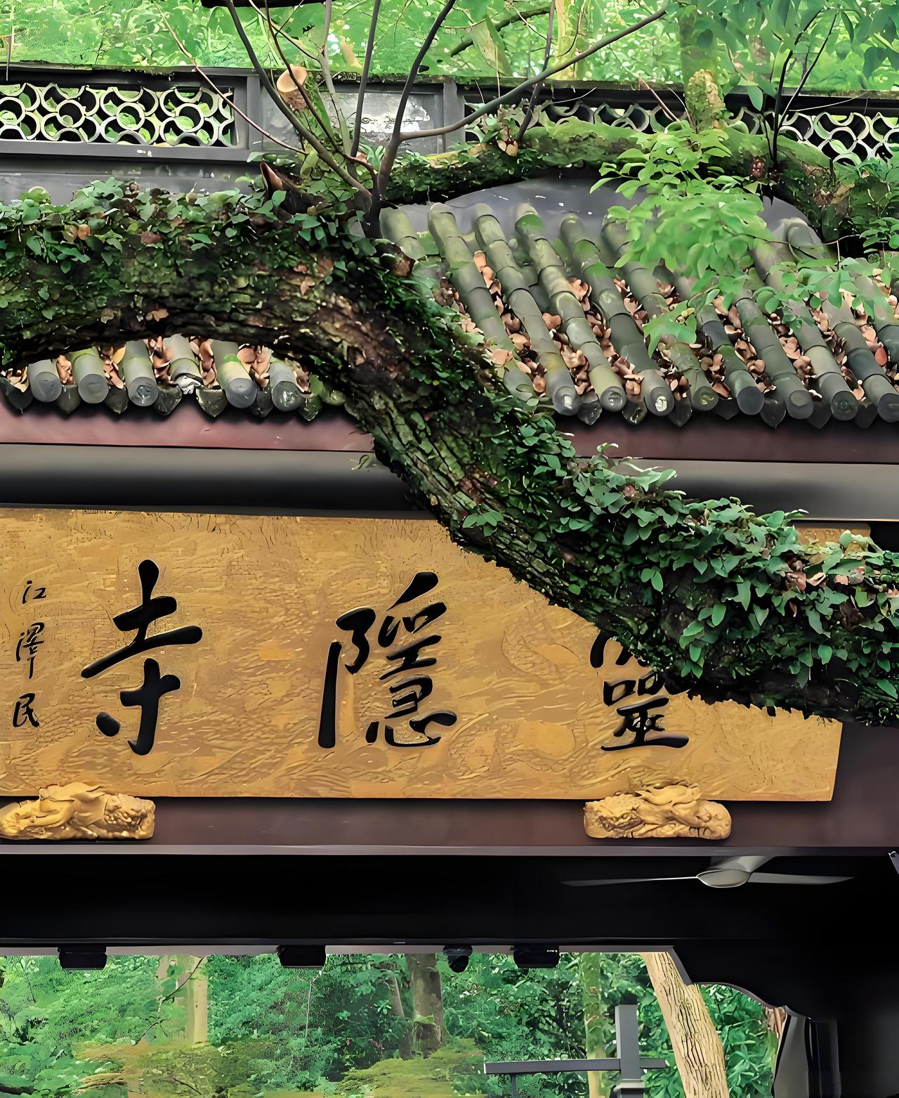 没有去过灵隐寺的朋友有福了！一位杭州的导游告诉我：灵隐寺有6大核心看点，每一个看