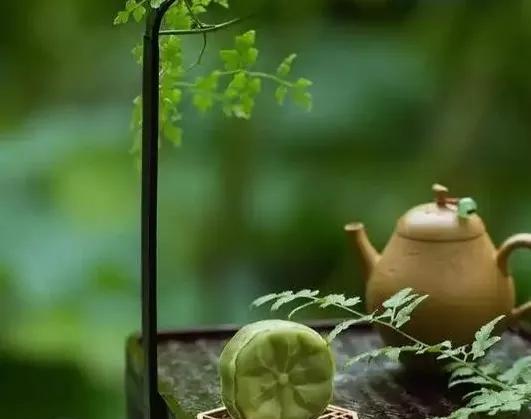 一段通透且现实的话：“朋友再好，你谈钱试试；夫妻再爱，你没钱试试；亲戚再亲，你借