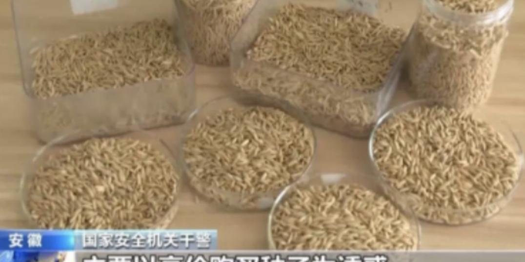 “应该立即死刑！”央视新闻在4月14日曝光了一起惊天大案：我国杂交水稻之父袁隆平