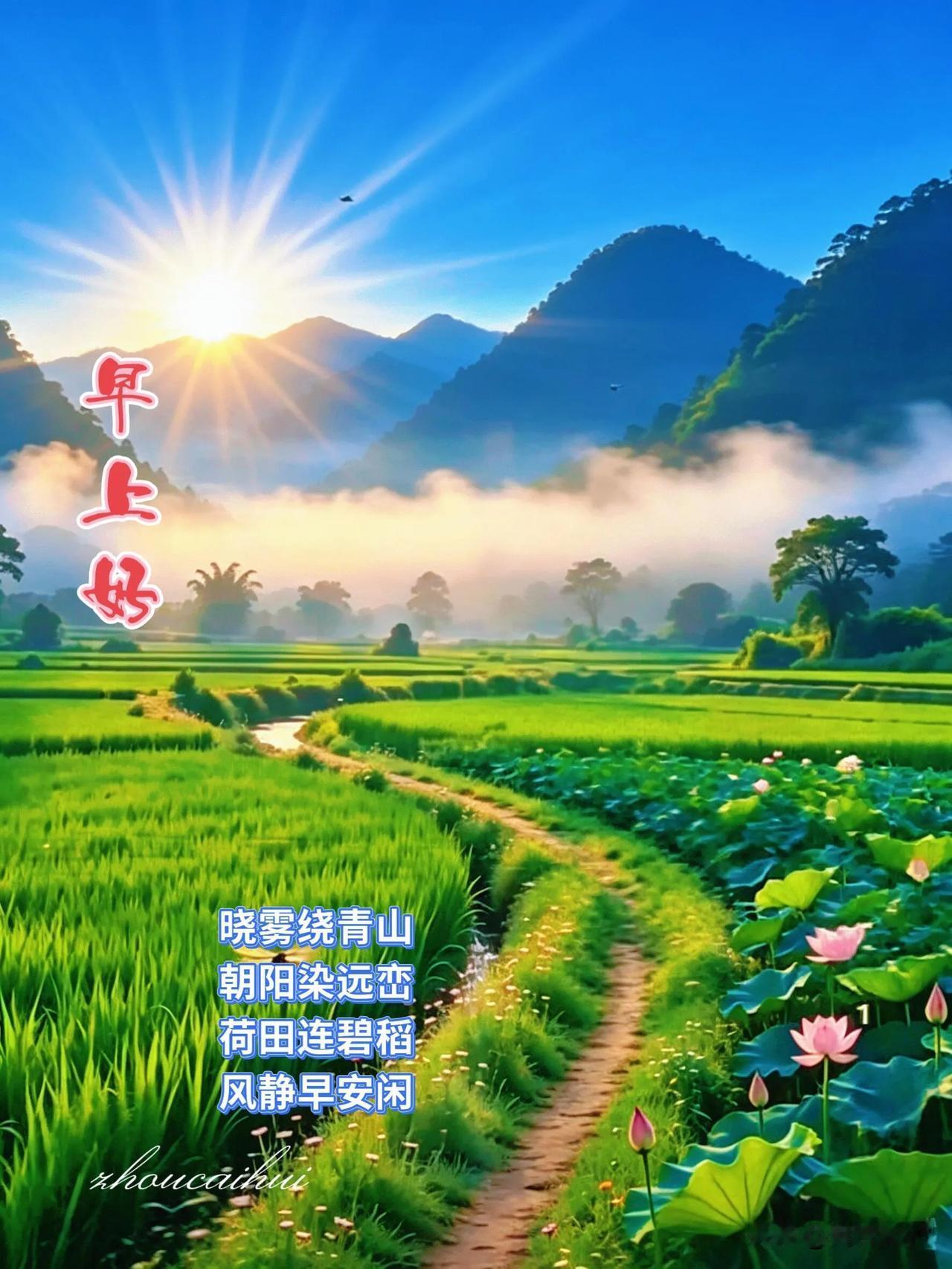 早安，新的一天，愿微风温柔，万事顺心。