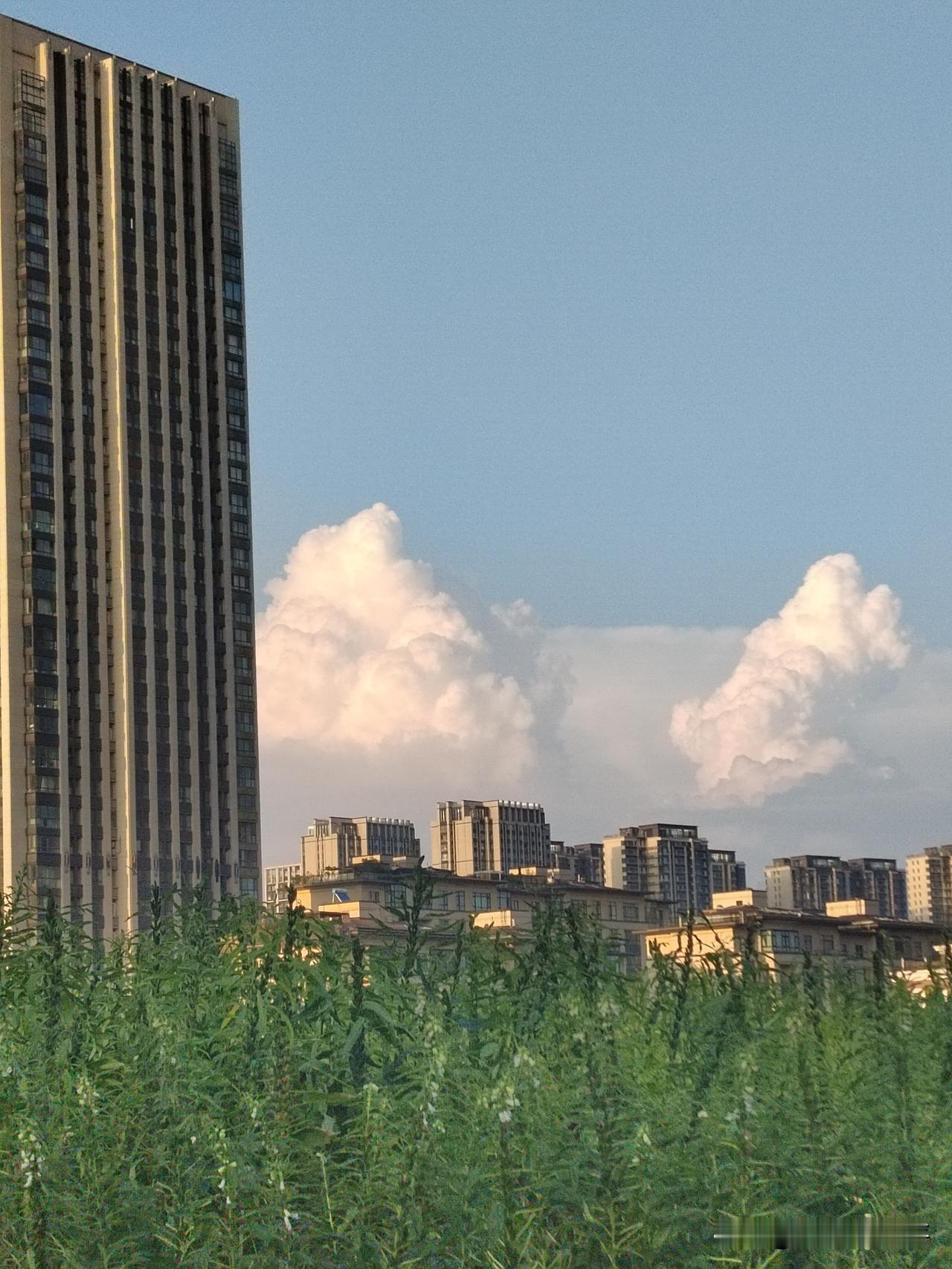 几个最简单的道理，很多人一生都没有明白。那就是——1、你的注意力放在身体