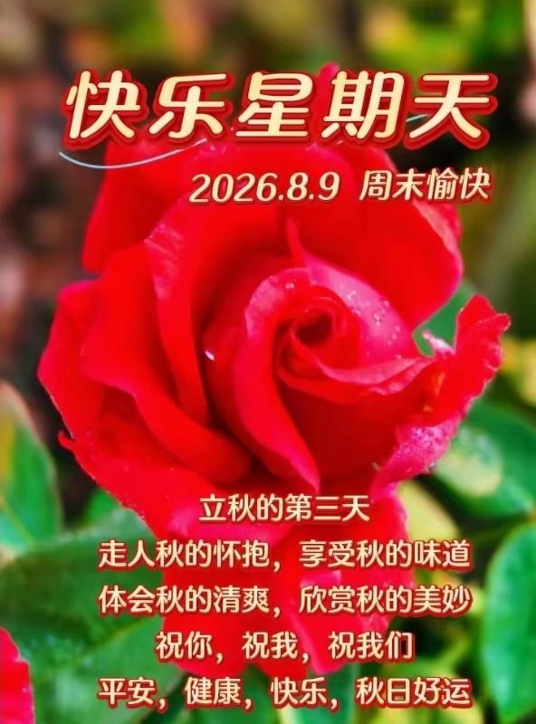 清晨的一句温柔祝福，总能抚平内心的浮躁，分享一段原创早安文案，送给努力生活的友友