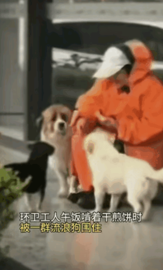 一位阿姨是名环卫工人，每天起早贪黑默默地为城市奉献着，这天中午她打扫了任务区域，