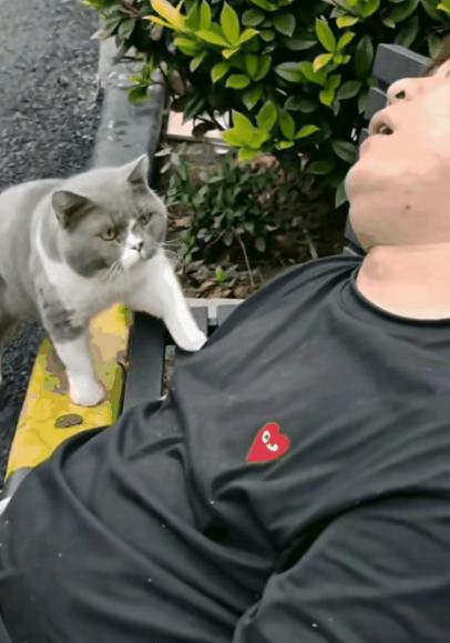 国庆假期，男子带猫咪出去玩，彻底放松了自己，这睡的比开盲盒还快，睡了就不急着醒，