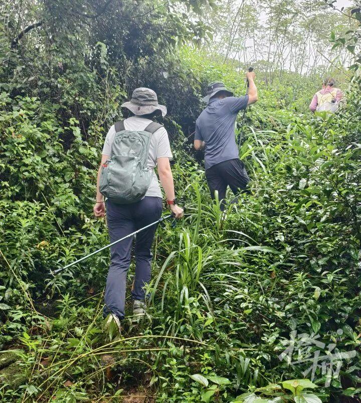 2026年9月12日，极目新闻报道。浙江一名女生趁着雨后进山徒步，爬山
