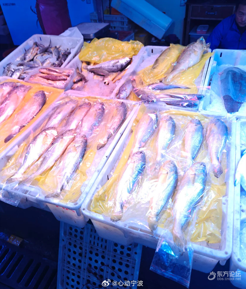宁波桐照码头海鲜抢鲜大战春节临近，宁波奉化桐照码头因海鲜采购爆火，这里素有“中