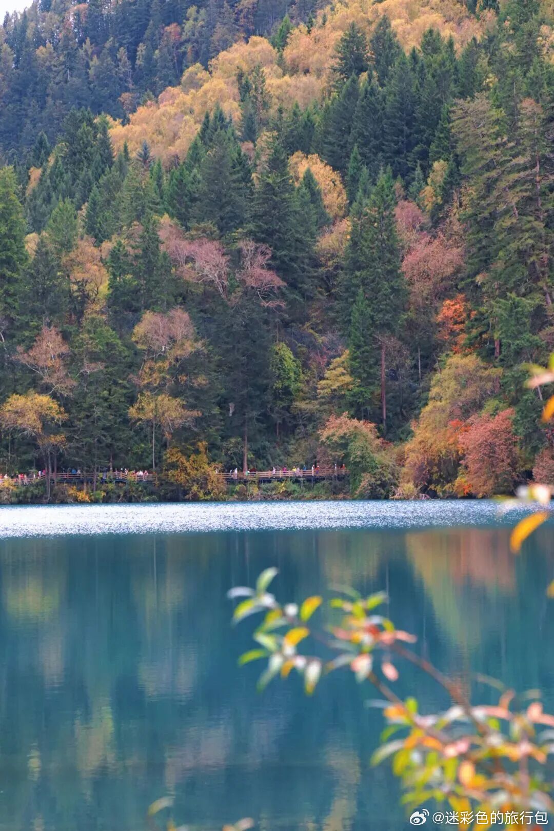 🇨🇳国庆奔赴四川，邂逅秋日的山河浪漫金秋的川蜀藏着祖国最动人的秋色画卷✨黄龙