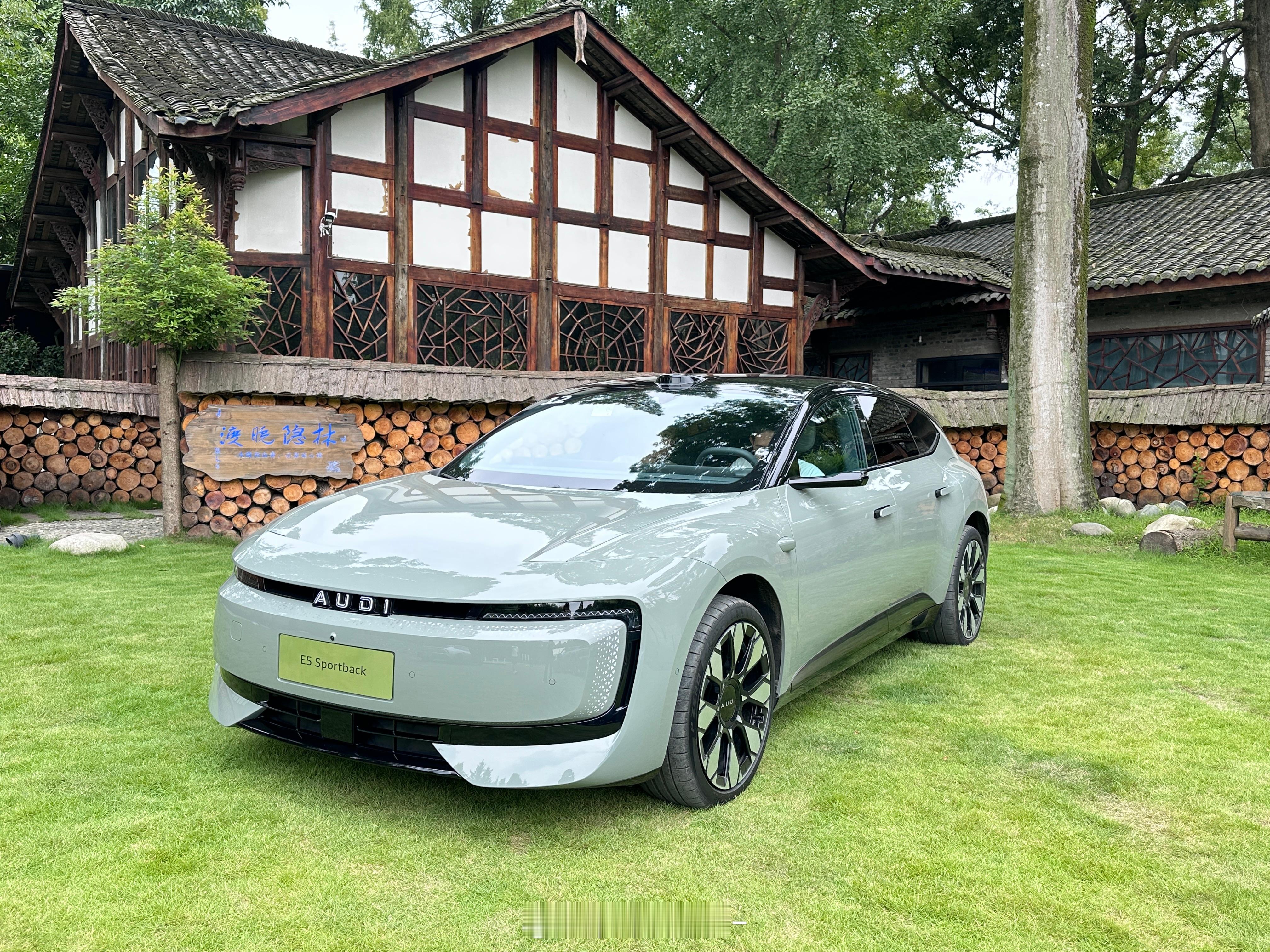 奥迪e5sportback五种颜色在阳光下的实拍我觉得都好好看选不出来怎么办[