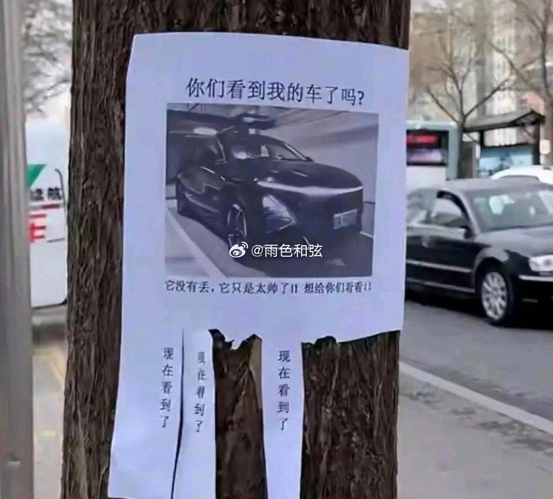还真的被他装到了，车主一定是个逗比。