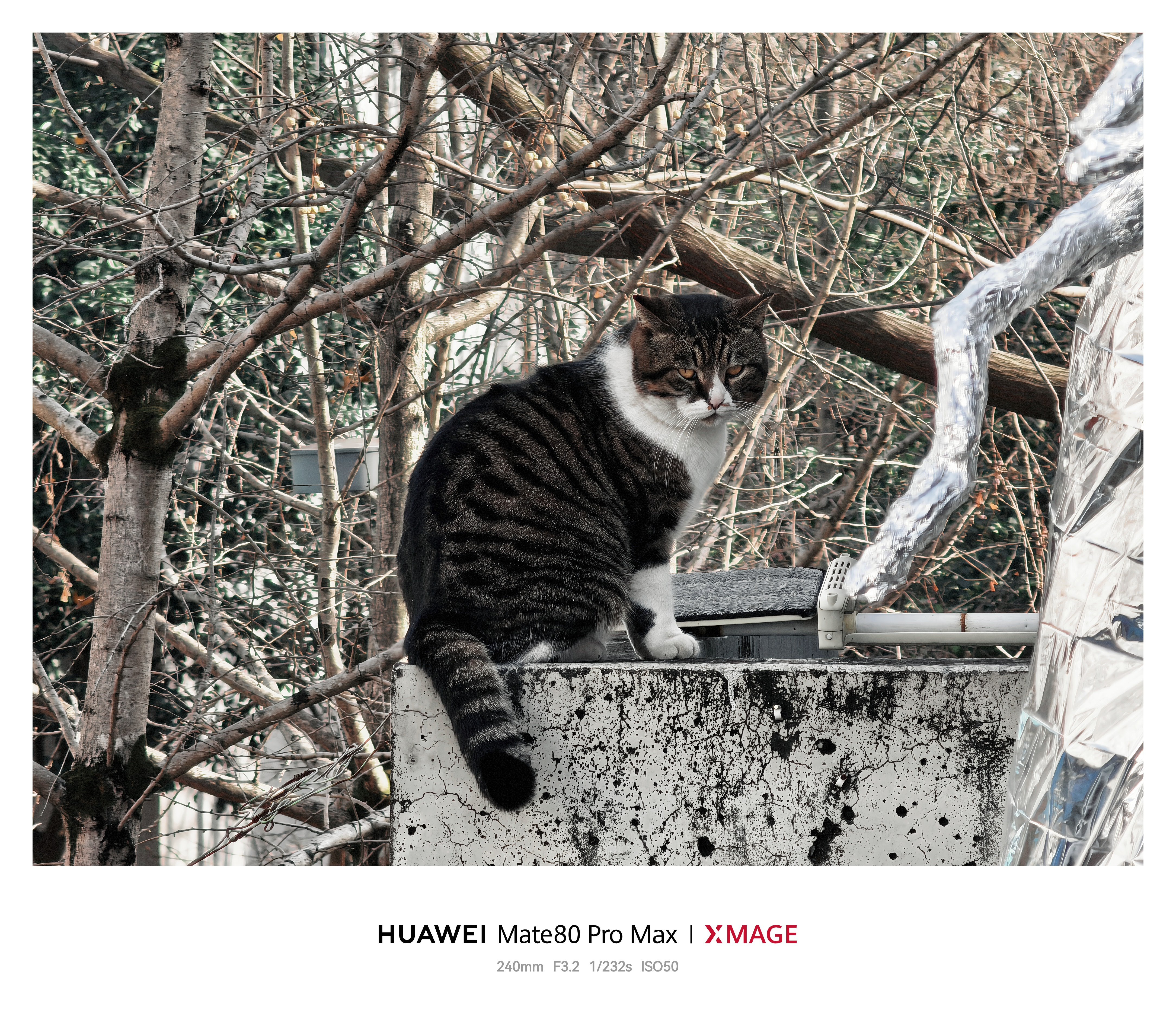 华为Mate80ProMax随手拍，XMAGE胶片滤镜的质感太舒服了！成