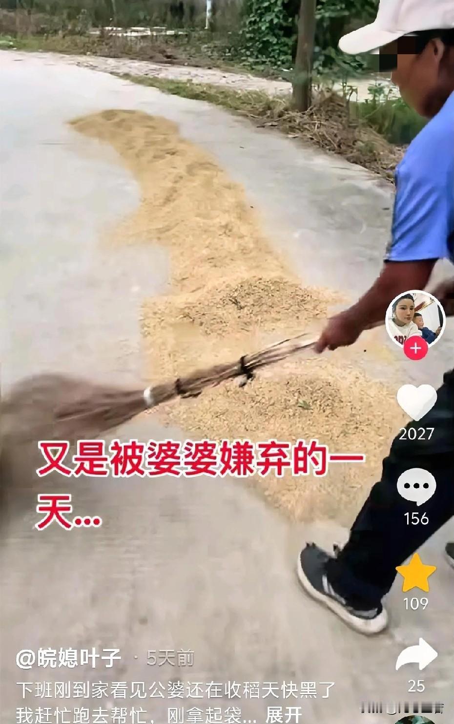 近日，安徽合肥，一名女子下班回家，看到公婆正在收稻谷，赶紧跑过去帮忙。女子刚拿起