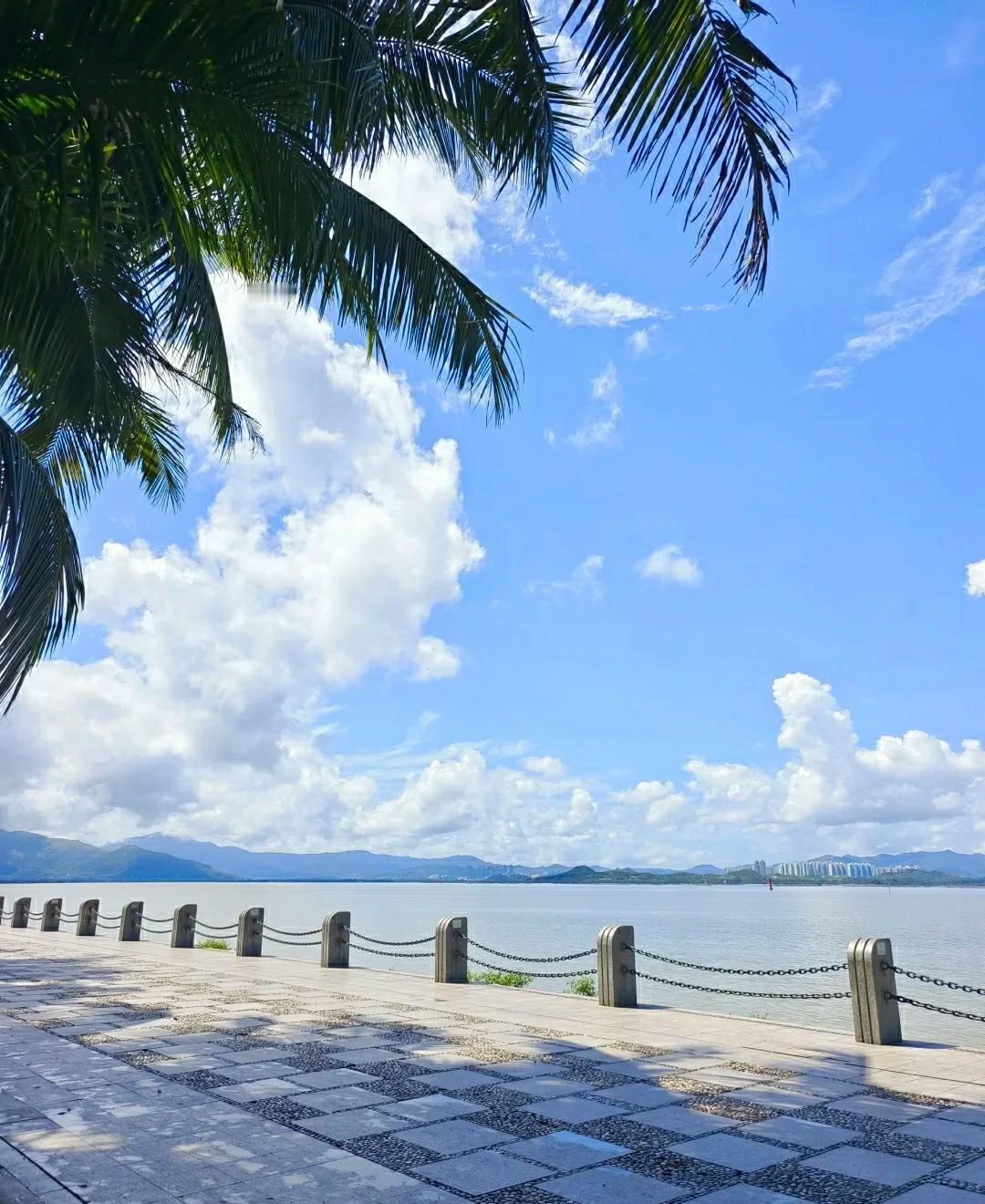 😭职场血泪教训:“事以密成，言以泄败”👇这句话在职场里有多真实？人教人，教